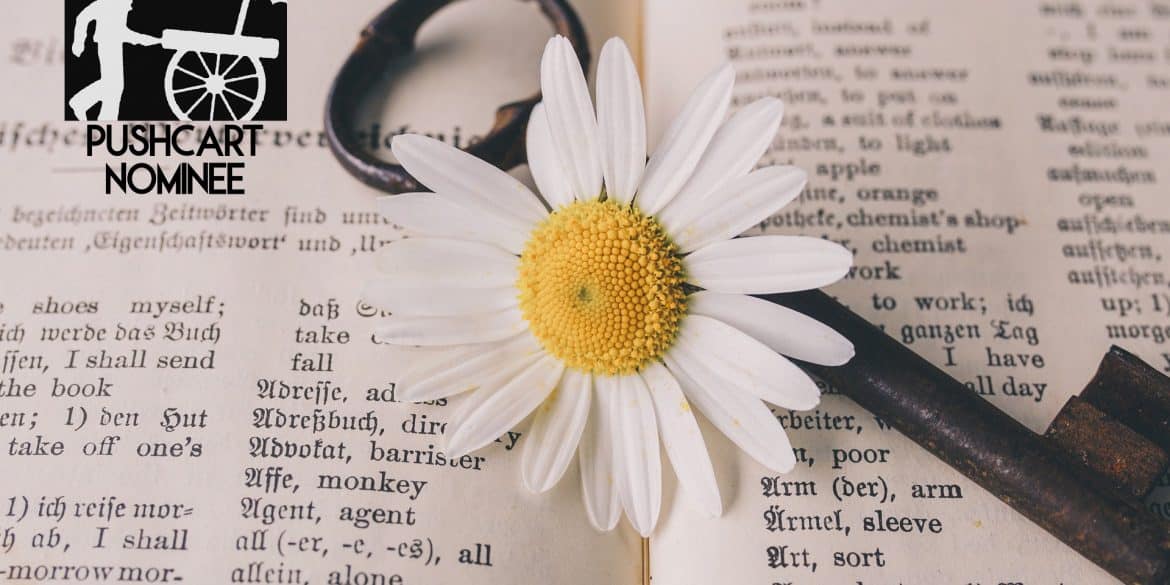 Photo-of-daisy-key-and-dictionary-by-user-165106-for-Pixabay