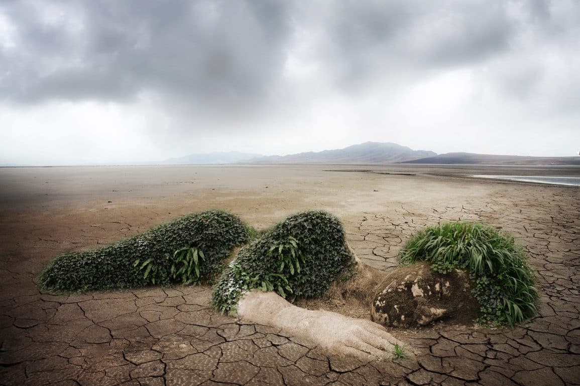 Climate Change Special Issue: Poems For a Planet in Danger – Will She Forgive Us?